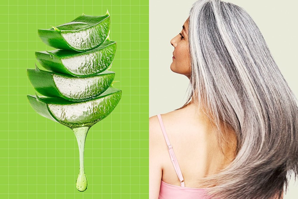 Is Aloe Vera The Secret To Healthy Hair? - Beauty Tribe