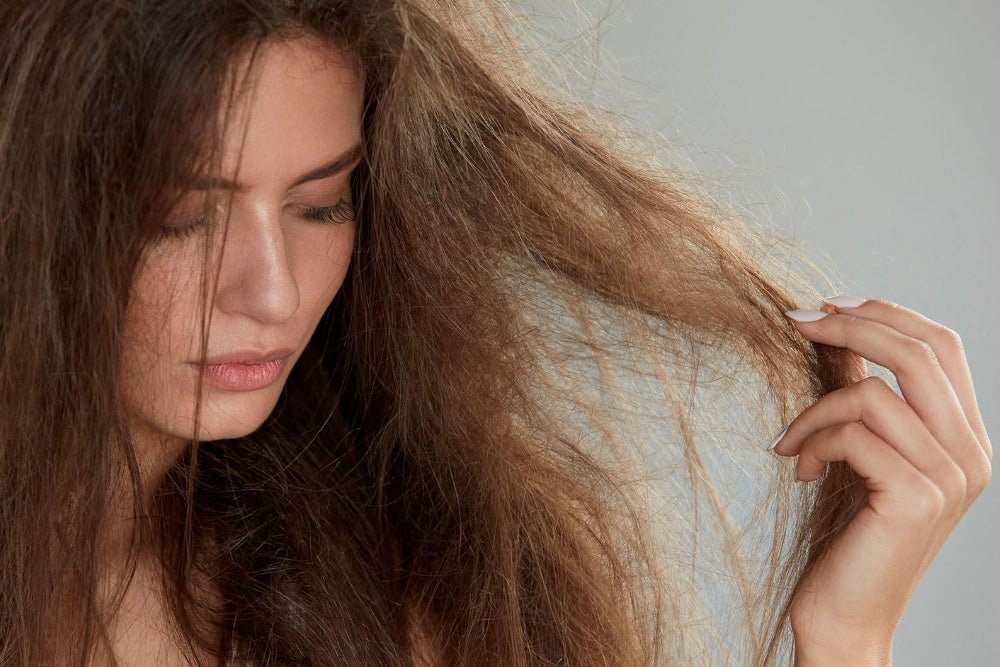 Say Goodbye to Dry Hair - Beauty Tribe
