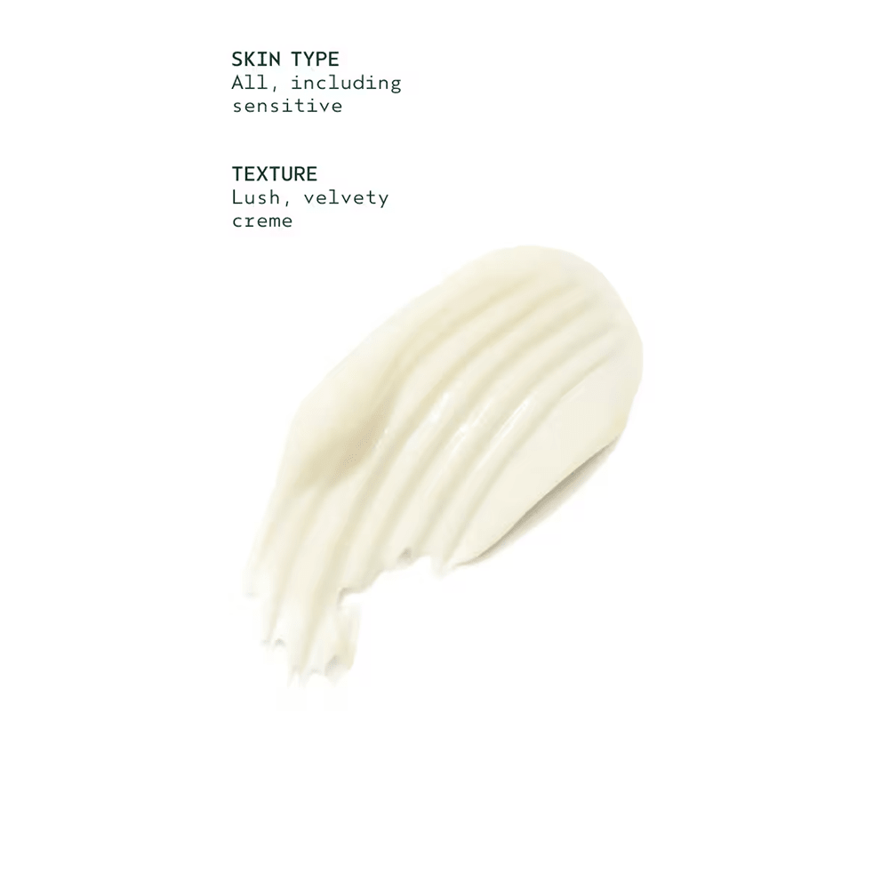 Aveda Botanical Kinetics Plumping Cream 50ml - Beauty Tribe