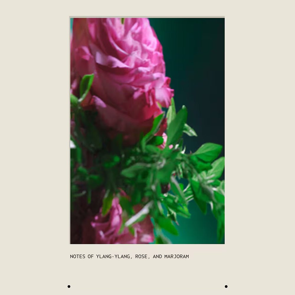 Aveda Botanical Repair Strengthening Shampoo 50ml - Beauty Tribe