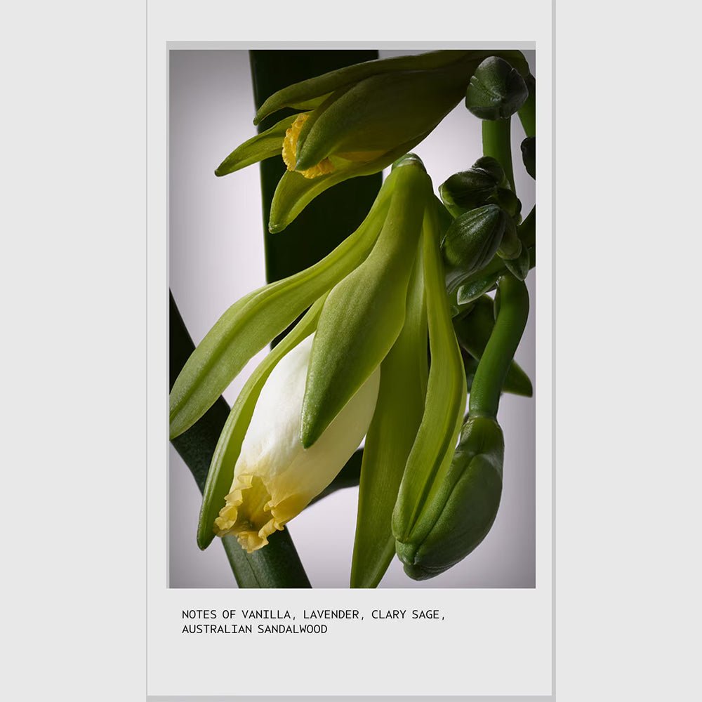 Aveda Invati Ultra Advanced Exfoliating Shampoo - Rich 1000ml - Beauty Tribe