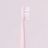 Gem Electric Toothbrush Replacement Heads Coconut - Beauty Tribe