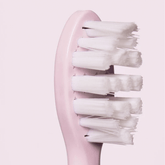 Gem Electric Toothbrush Replacement Heads Coconut - Beauty Tribe