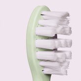 Gem Electric Toothbrush Replacement Heads Mint - Beauty Tribe