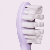Gem Electric Toothbrush Replacement Heads Rose - Beauty Tribe