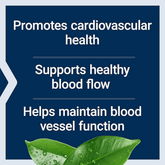 Life Extension Potassium with Extended-Release Magnesium – 100 Veg Caps - Beauty Tribe