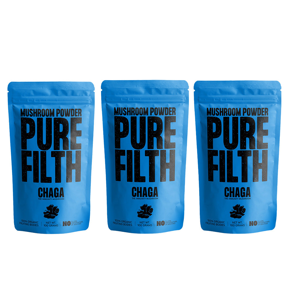 Pure Filth Chaga Mushroom Extract Powder 100g 3 Pack Set
