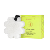 Spongelle Daisy Collection Coconut Verbena Body Wash Infused Buffer 85 g (14+Uses) - Beauty Tribe
