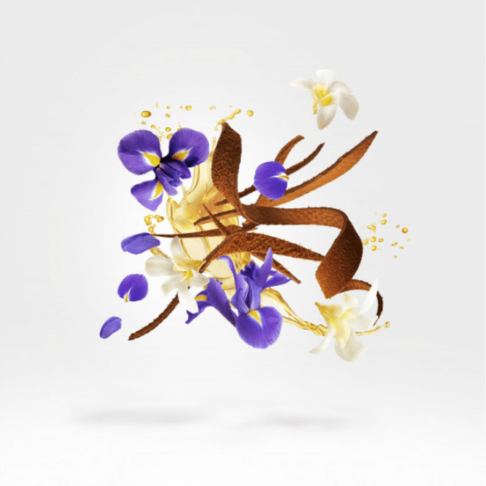 Xerjoff Kemi Collection Aqua Regia Parfum 100ml - Beauty Tribe