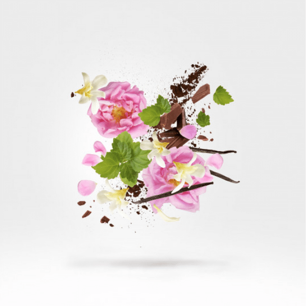 Xerjoff Kemi Collection Aurum Parfum 50ml - Beauty Tribe