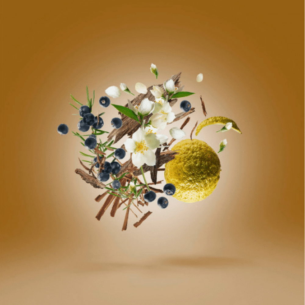 Xerjoff Oud Stars Fars Parfum 50ml - Beauty Tribe