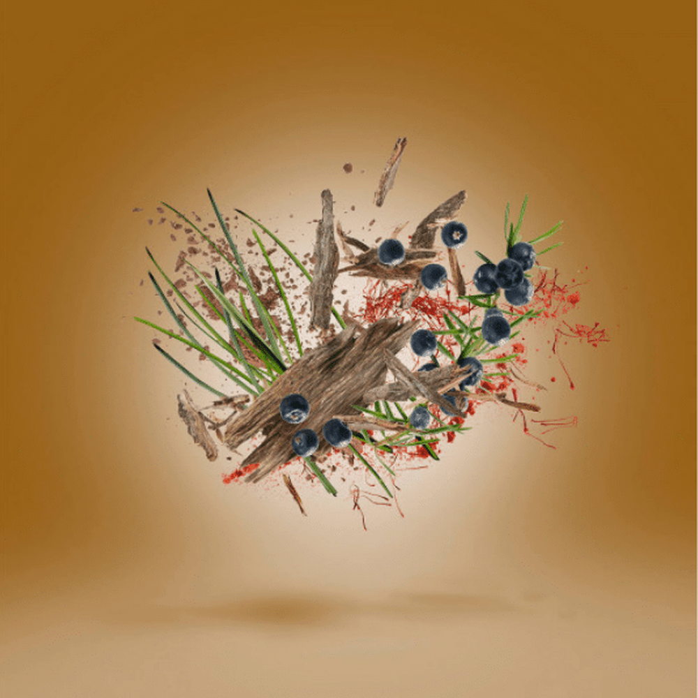 Xerjoff Oud Stars Gao Parfum 50ml - Beauty Tribe