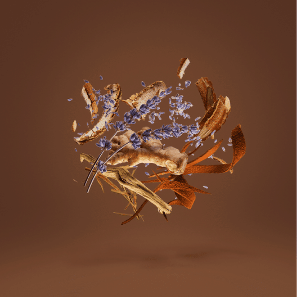 Xerjoff Xj 17/17 Stone Label Homme Parfum 100ml - Beauty Tribe