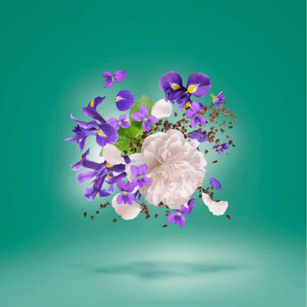 Xerjoff Xj 17/17 Stone Label Irisss Parfum 100ml - Beauty Tribe