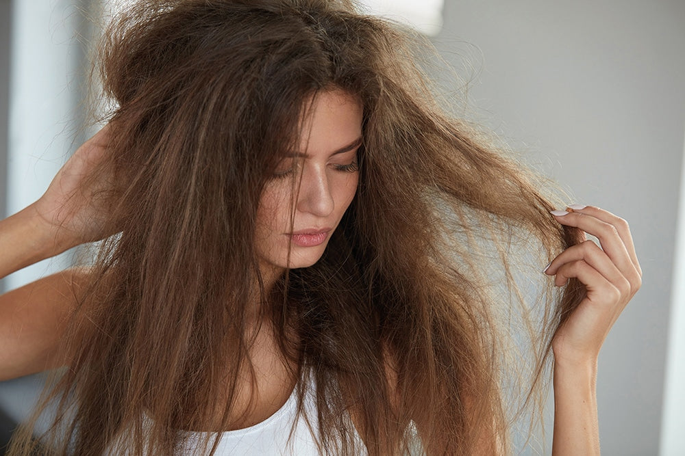 6 Shampoos For Severe Hair Damage