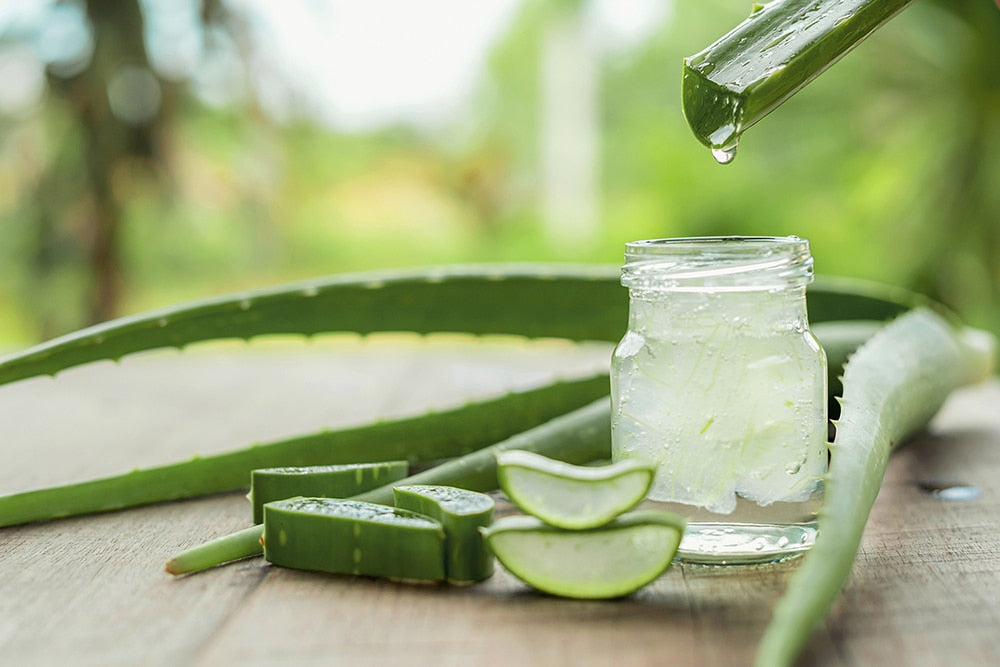 How Aloe Vera Can Help Acne And Sunburns