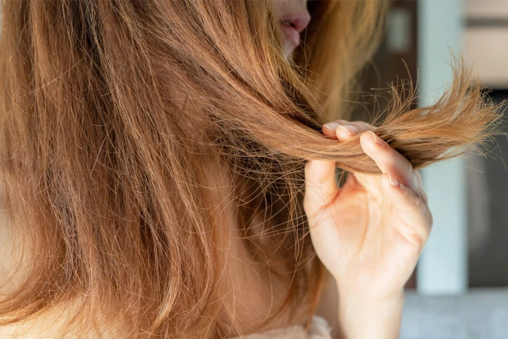 How To Repair Damaged Hair