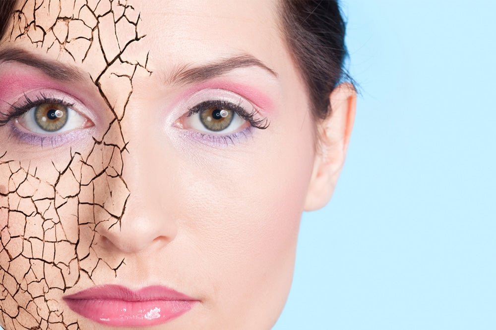 Best Moisturizers For Dry Skin - Beauty Tribe