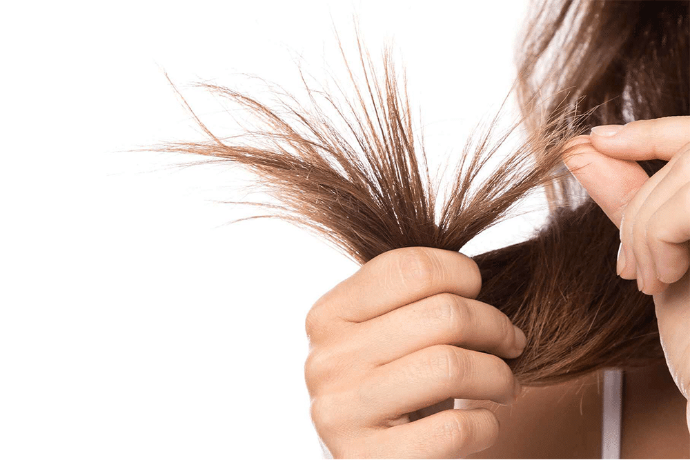 How Do I Get Rid of Split Ends? - Beauty Tribe