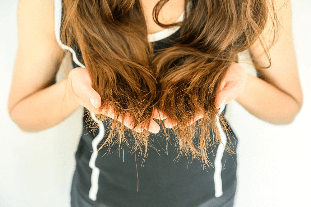 How To Control Hair Breakage - Beauty Tribe