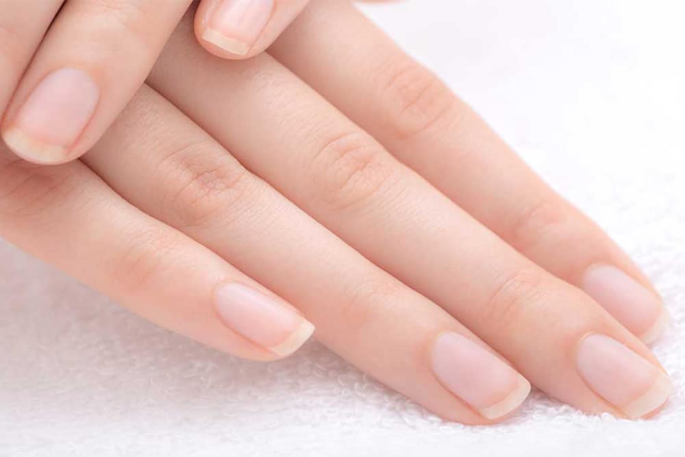 Nail Care 101 - Here's Everything You Need - Beauty Tribe