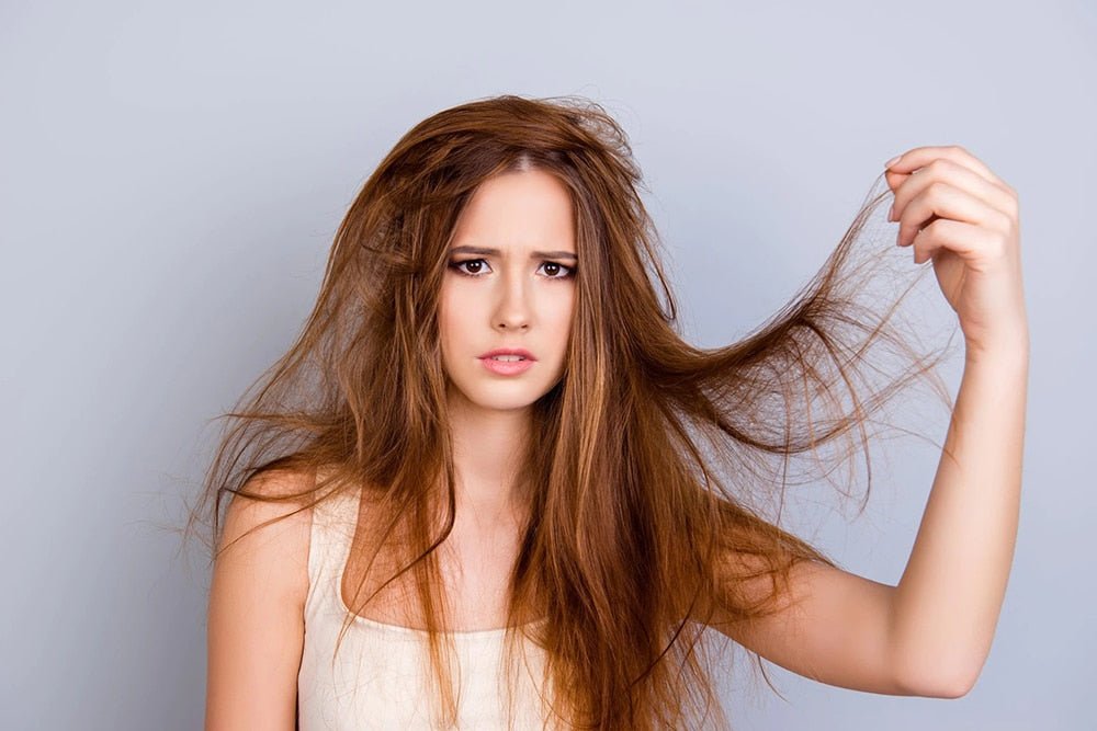 What Are The Causes Of Dry Hair And How To Fix It - Beauty Tribe