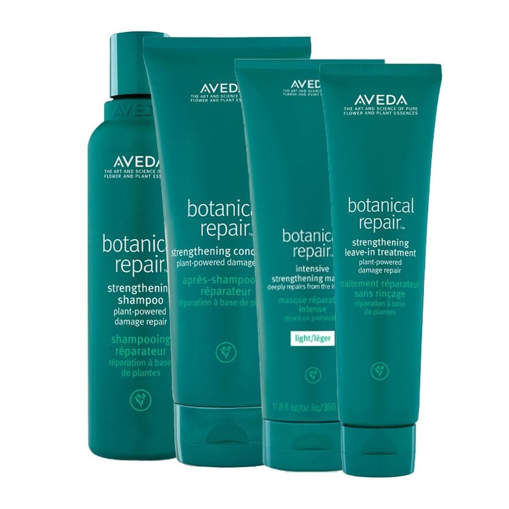 Aveda Botanical Repair Set