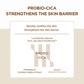 Skin1004 Madagascar Centella Probio-Cica Intensive Ampoule 95ml