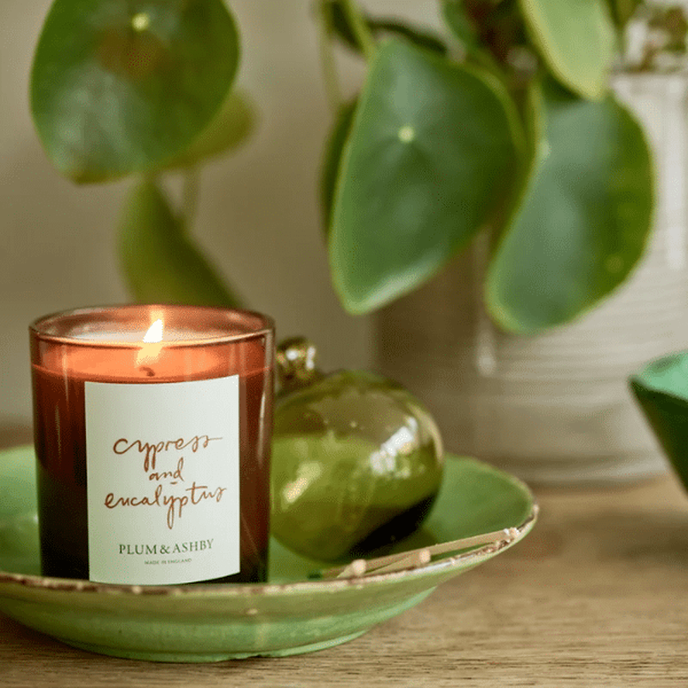 Plum &amp; Ashby Cypress &amp; Eucalyptus Candle 220g