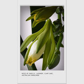 Aveda Invati Ultra Advanced Fortifying Leave - In Treatment 100ml - Beauty Tribe