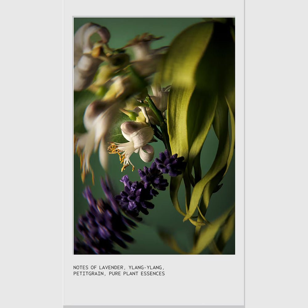 Aveda Miraculous Oil 50ml - Beauty Tribe