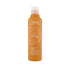 Aveda Sun Care Hair/Body Cleanser 250ml - Beauty Tribe
