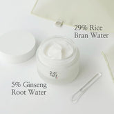 Beauty Of Joseon Dynasty Cream 50ml - Beauty Tribe