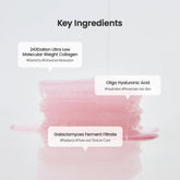 Biodance Collagen Gel Toner Pads (140g*60) - Beauty Tribe