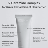 Celimax Dual Barrier Skin Wearable Cream 50ml - Beauty Tribe