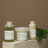 Davines Momo Conditioner 250ml - Beauty Tribe