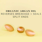 Hask Argan Oil Repairing Shampoo