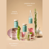 Izil Beauty Densify Strengthening Hair Ampoules 12x9ml - Beauty Tribe