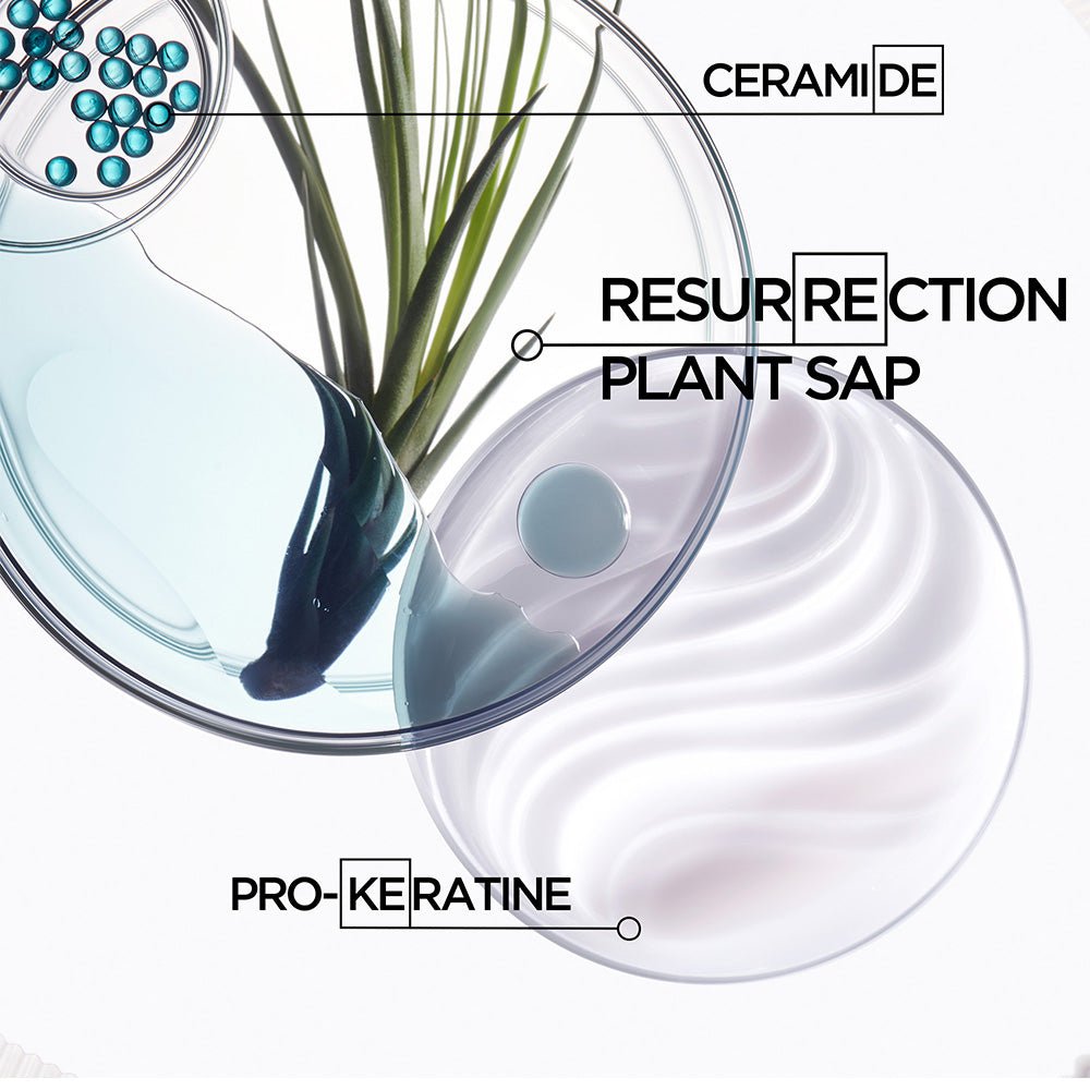 Kerastase Resistance Shampoo for Damaged Hair 500ml - Beauty Tribe