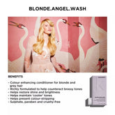 Kevin Murphy Blonde Angel Wash 250ml - Beauty Tribe