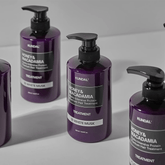 Kundal Honey And Macadamia Hydro - Intensive Protein Premium Hair Treatment Amber Vanilla 500 ml - Beauty Tribe