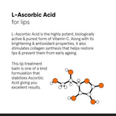 Minimalist 8% L - Ascorbic Acid with Vitamin E, Radianskin & Glycerine Lip Treatment Balm 0.42 Oz / 12 gm - Beauty Tribe