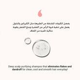 Moremo Scalp Shampoo Clear and Cool 500ml - Beauty Tribe