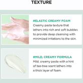 Skin1004 Madagascar Centella Tea - Trica Bha Foam 125ml - Beauty Tribe