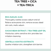 Skin1004 Madagascar Centella Tea - Trica Bha Foam 125ml - Beauty Tribe