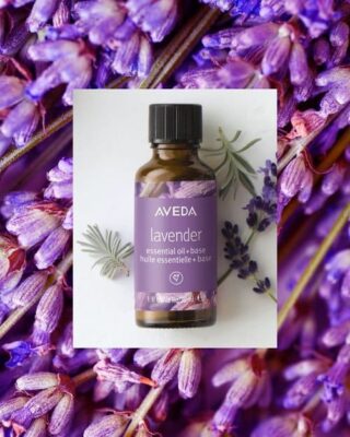 lavender+aveda+essential+oil
