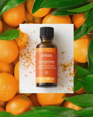 tangerine+aveda+essential+oil