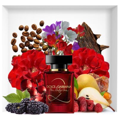 Dolce & Gabbana The Only One For Women Edp 100ml Fr